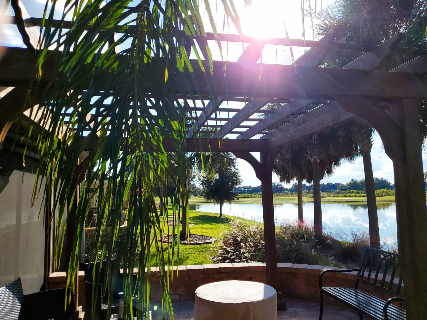 beautiful pergola on a resort with sun shining through palm trees
